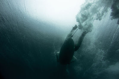 Person swimming in sea