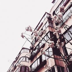 Low angle view of building against clear sky