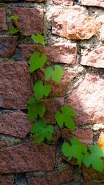 Full frame shot of brick wall