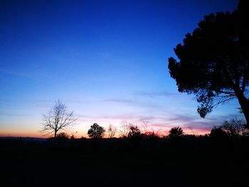 Silhouette trees against sky during sunset