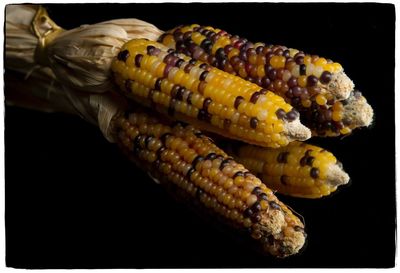 Close-up of food against black background