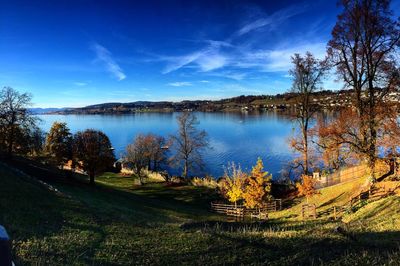 Reflection of trees in calm lake