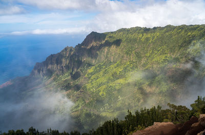 Panoramic view of trees and mountains against sky