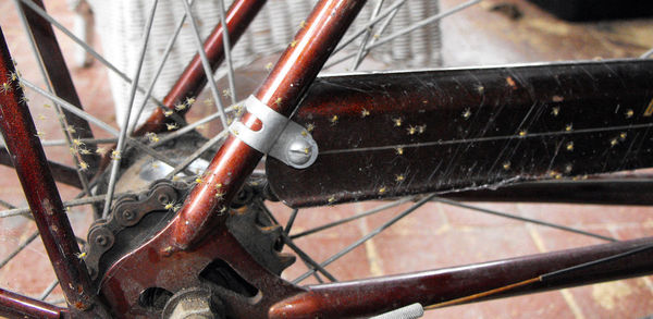 High angle view of rusty bicycle