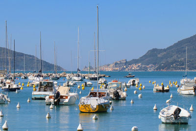 Sailboats moored in harbor