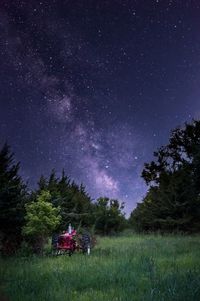 Scenic view of tree on field against sky at night