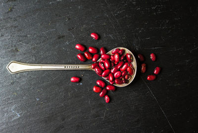 High angle view of cherries on table against black background