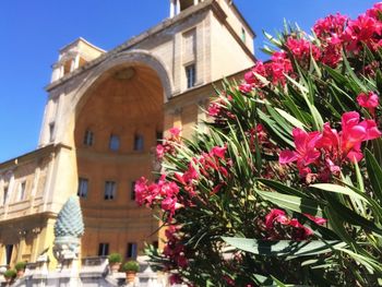 Low angle view of flowers on building