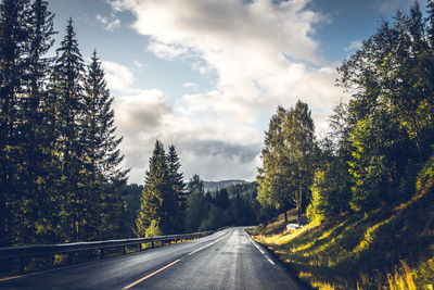 Empty road along trees and plants against sky