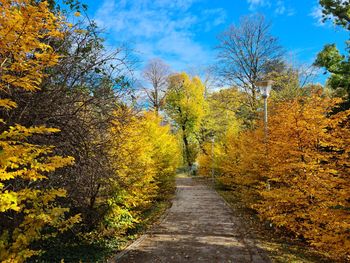 Footpath amidst trees against sky during autumn