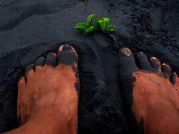 Low section of man legs on sandy beach