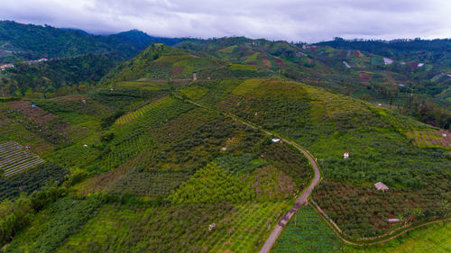 High angle view of agricultural field against sky