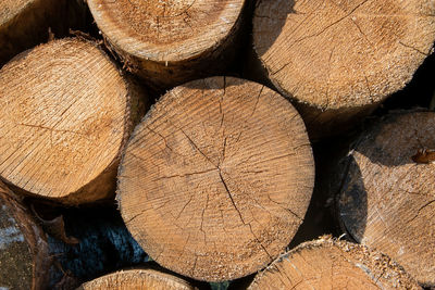 Full frame shot of logs in forest