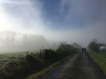 Rear view of road amidst trees against sky