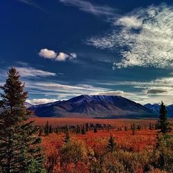 Scenic view of landscape against sky