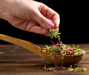 Fresh beet sprouts in a wooden spoon on the table and a female hand. microgreen for salad, detox