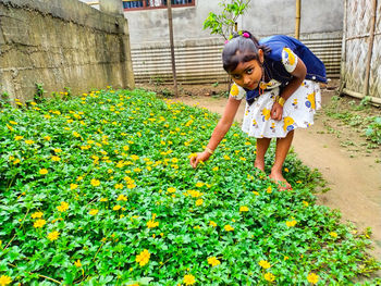 Full length of woman standing on flowering plants