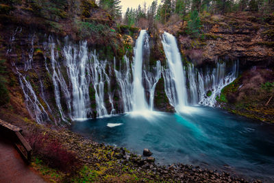 Scenic view of waterfall in forest