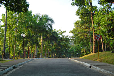 Road amidst trees against sky in city