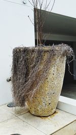 Close-up of rope on table against wall