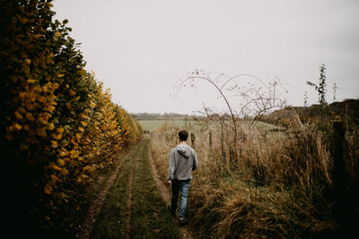 Rear view of man walking on field