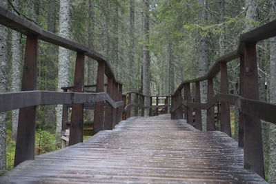 Footbridge in forest