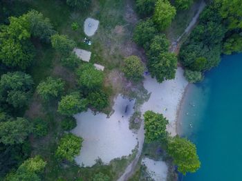 High angle view of trees on land