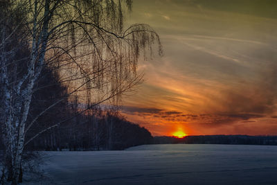 Bare trees on snowy landscape against sky during sunset