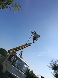 Low angle view of tree against blue sky
