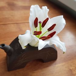 High angle view of white flower on table