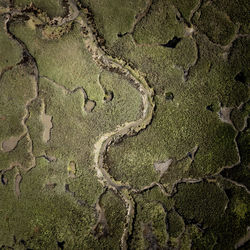 High angle view of road