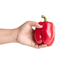 Cropped image of hand holding red bell peppers against white background