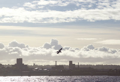 View of birds flying over sea against sky