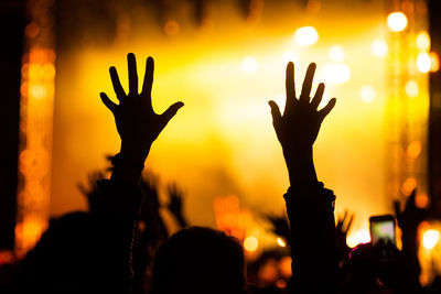 Silhouette people enjoying music concert at night