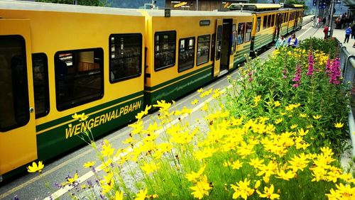 Railroad track at sunrise
