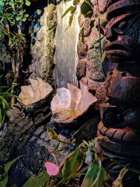 Close-up of tree trunk