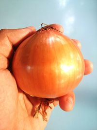 Close-up of hand holding apple