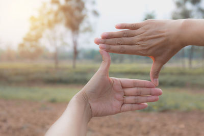 Cropped image of hands making frame against trees