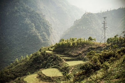 Scenic view of landscape