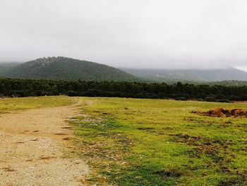 Scenic view of landscape against sky