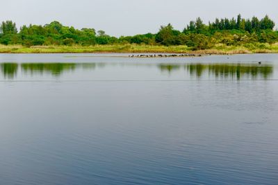 Scenic view of lake against sky