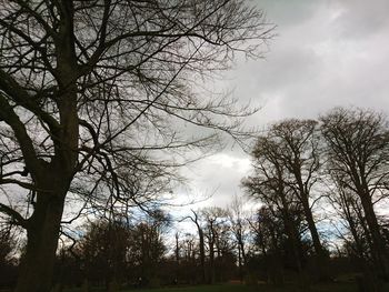 Low angle view of bare tree against cloudy sky