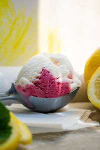 Close-up of dessert in plate