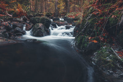 Stream flowing through rocks in forest