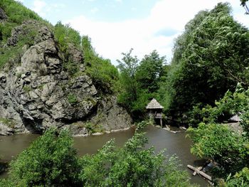 Scenic view of river in forest against sky