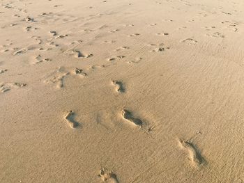 High angle view of footprints on sand