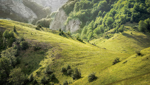 Scenic view of mountains