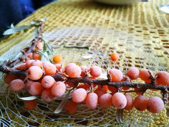 Close-up of fruits