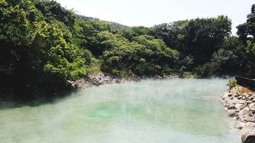 Scenic view of lake against trees