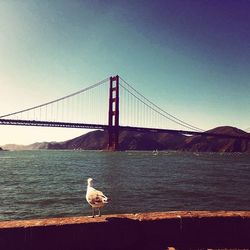 Suspension bridge over river